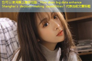 How does big data enhance Shanghai's decision-making capabilities？