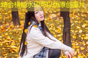 浪蕩于阿基德海滩的沙滩派对